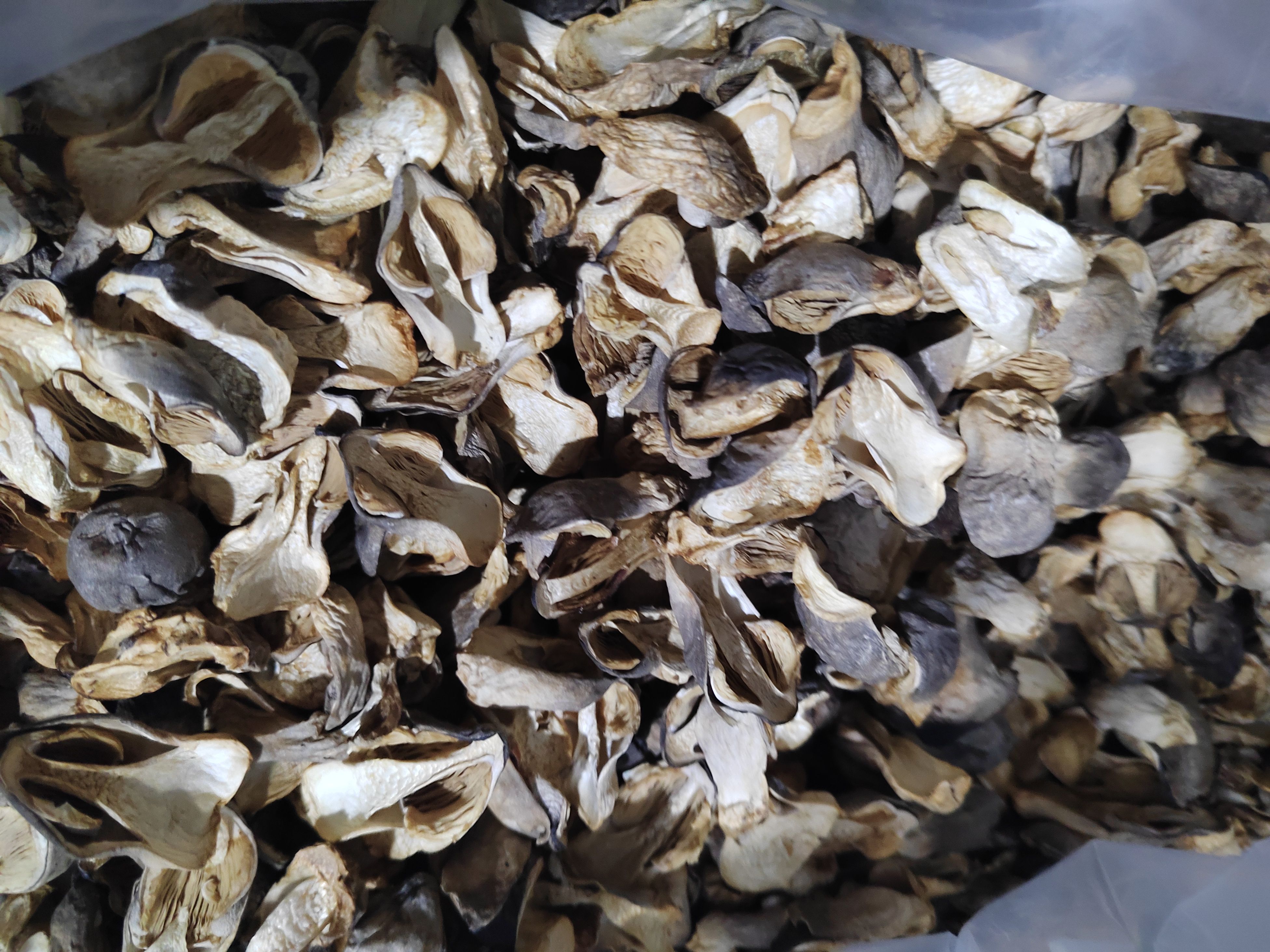 基地优质干品草菇，现摘现烤，品质好