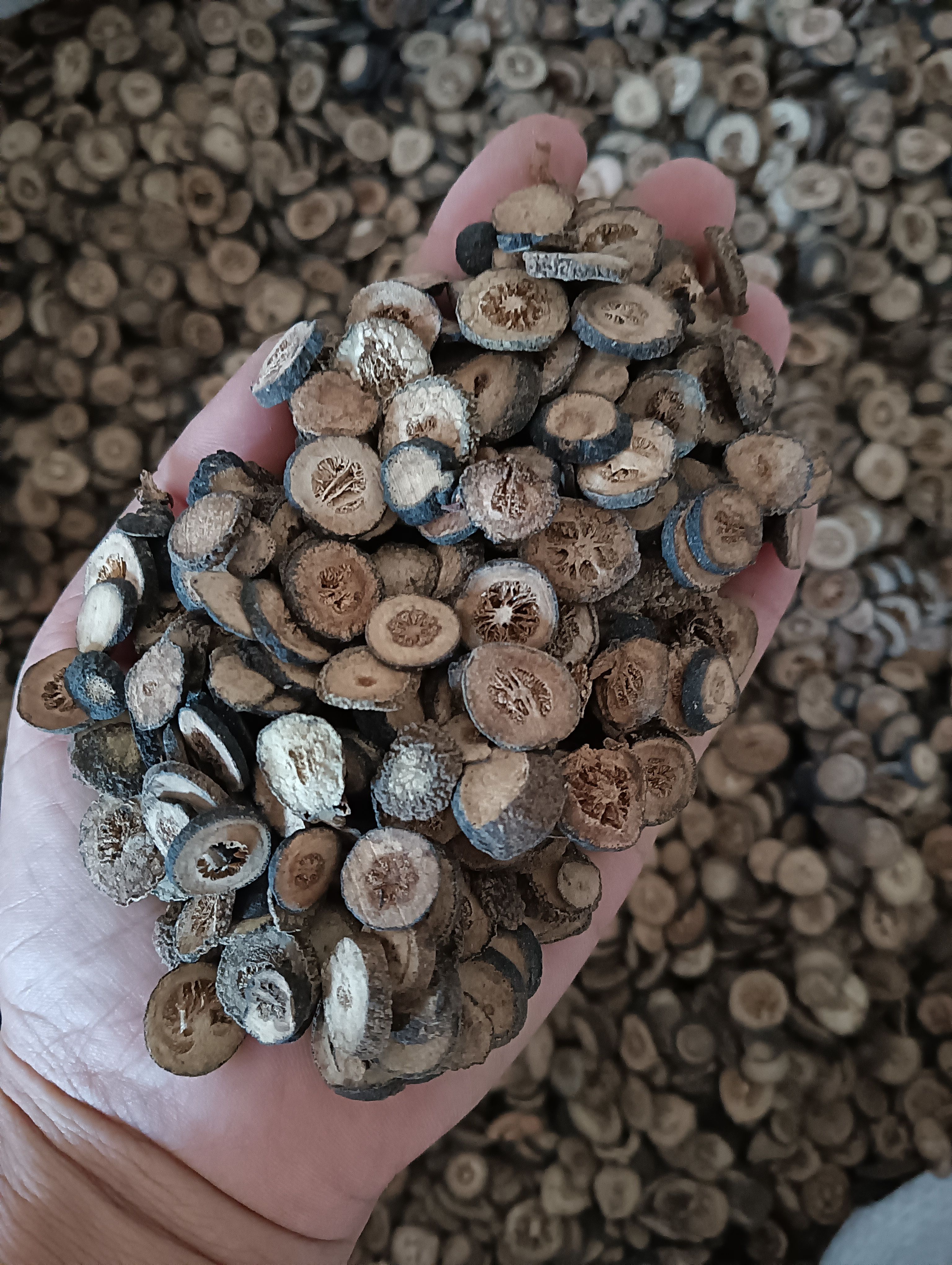 青皮，小青皮，大青皮，四花青皮，规格齐全，鲁赣药材批发