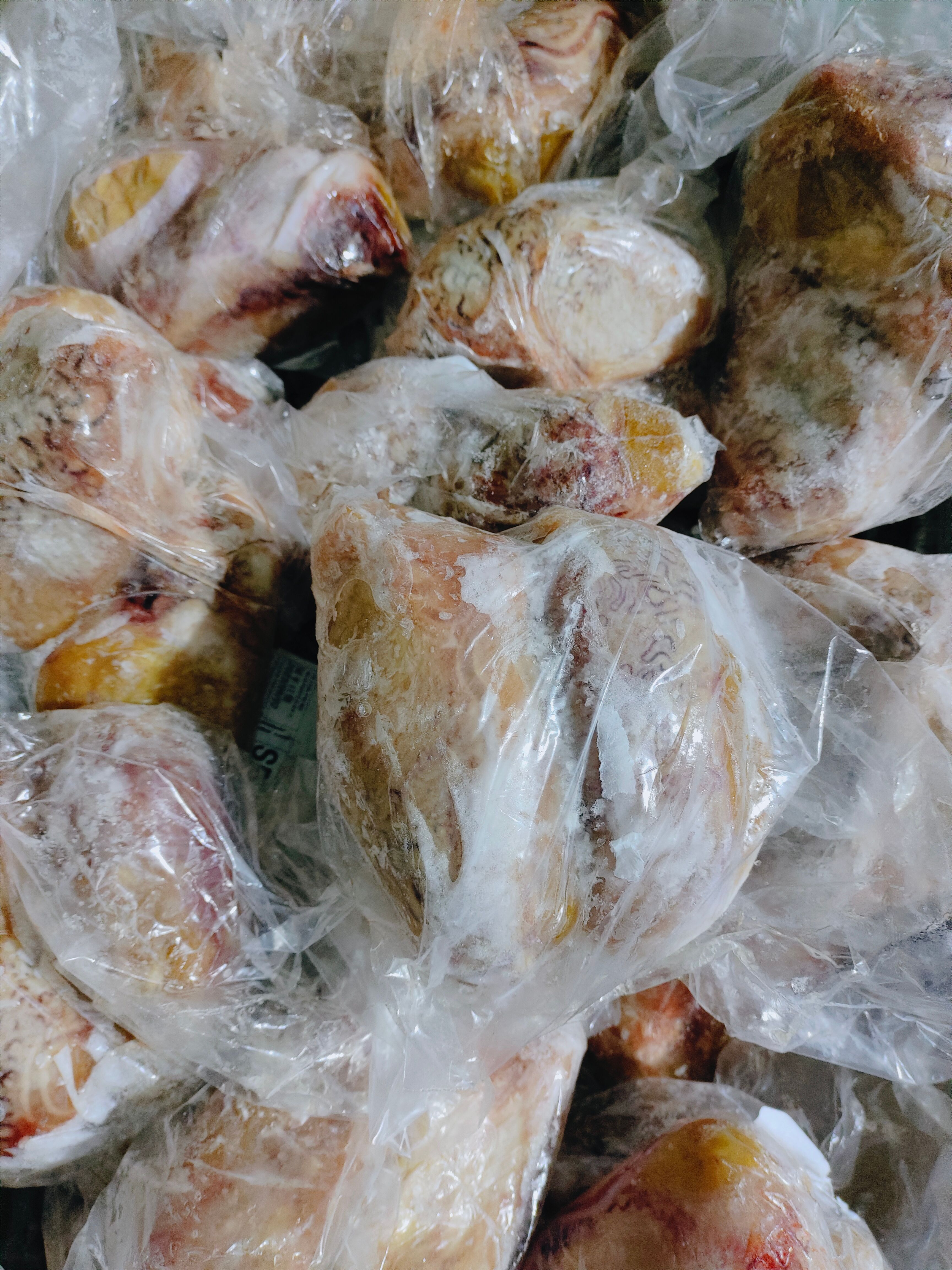 大个牛宝  黄心牛宝