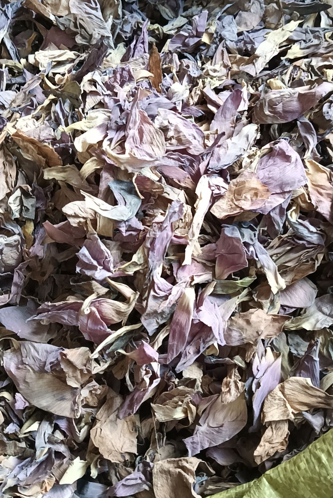 荷花，干荷花，荷花瓣，量大从优