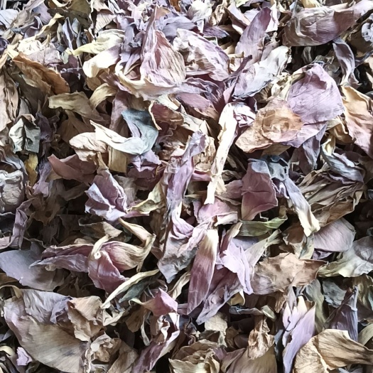 荷花，干荷花，荷花瓣，量大从优