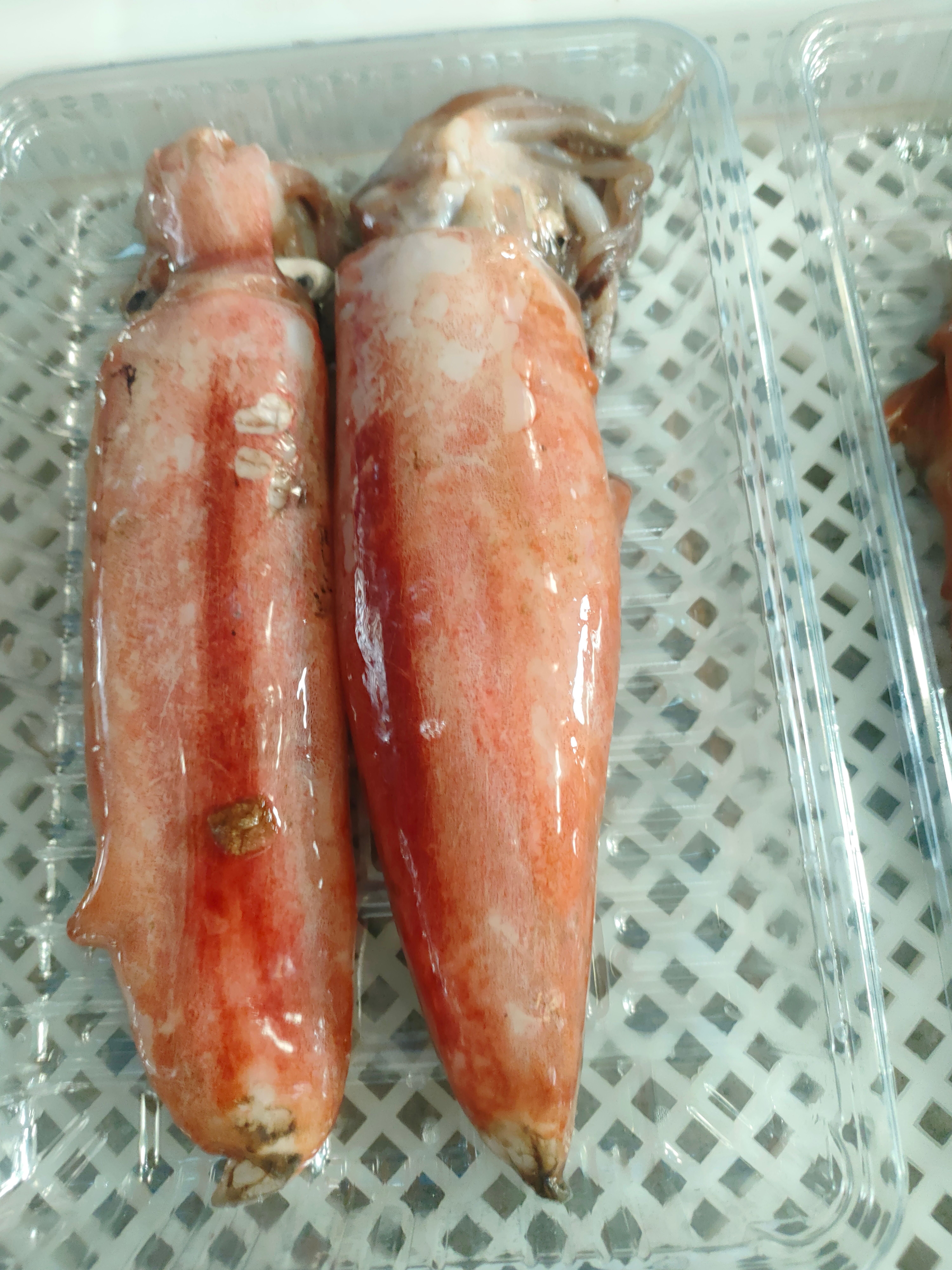 红鱿、北海鱿鱼、单条速冻包装30斤一件、灯照船捕长期有量直批