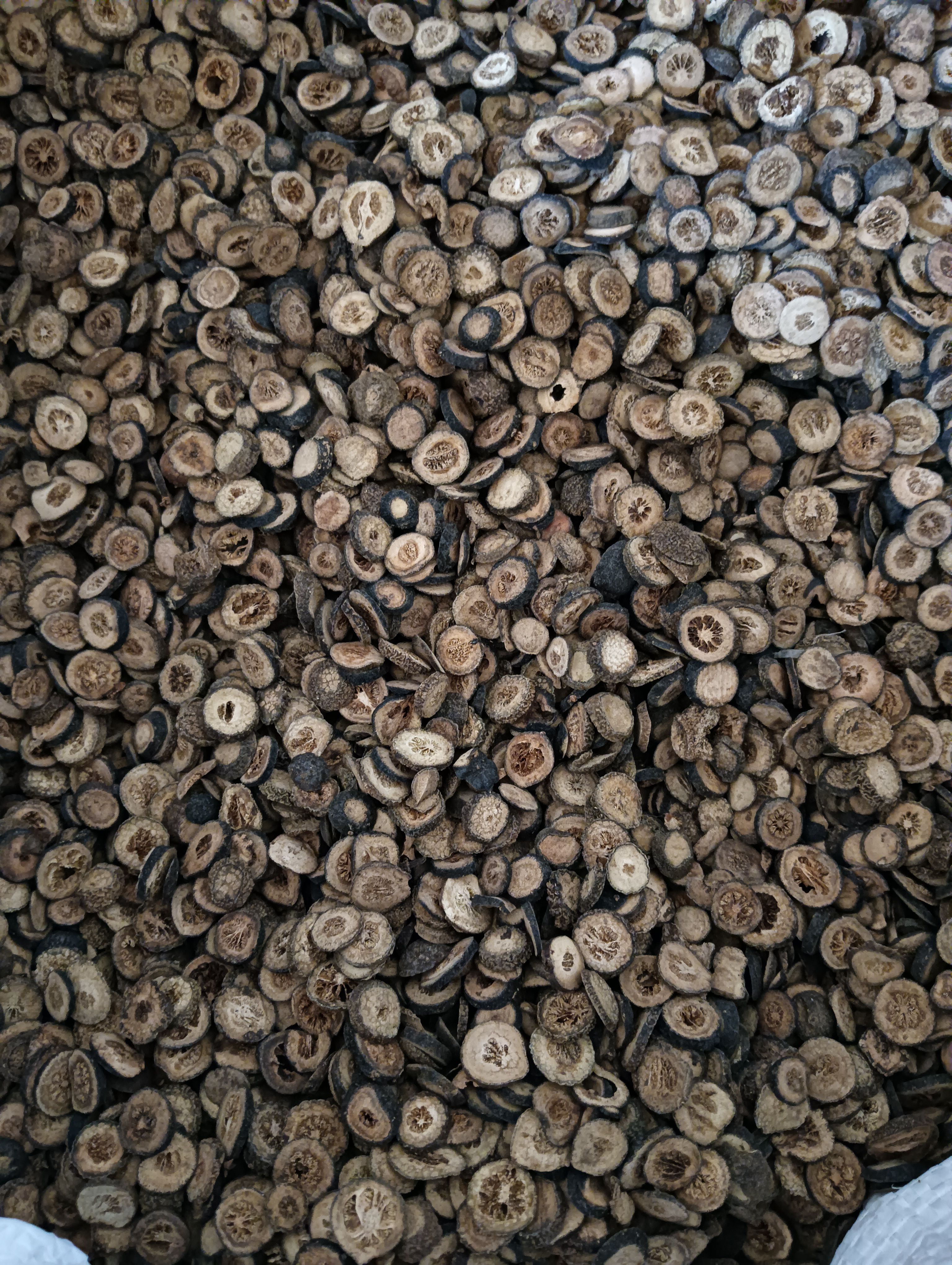 青皮，小青皮，大青皮，四花青皮，规格齐全，鲁赣药材批发