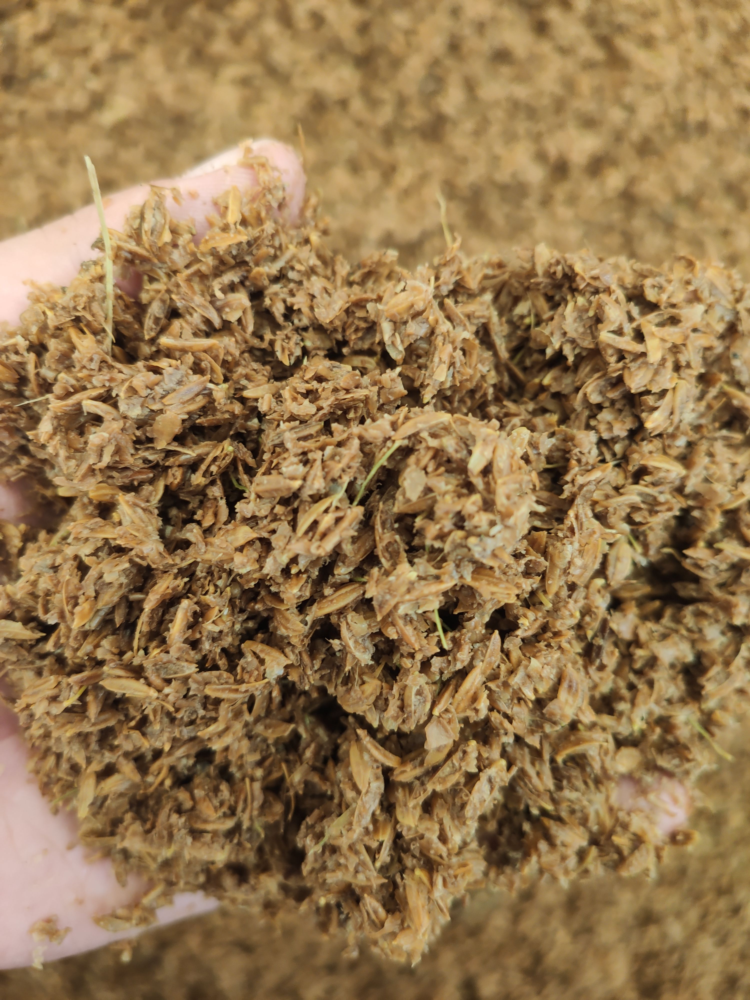 厂家直销一手货源生产糟渣类饲料 喂牛喂羊反刍动物醋糟