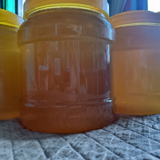 晋中荆花蜜等