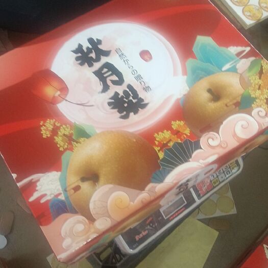威县秋月梨