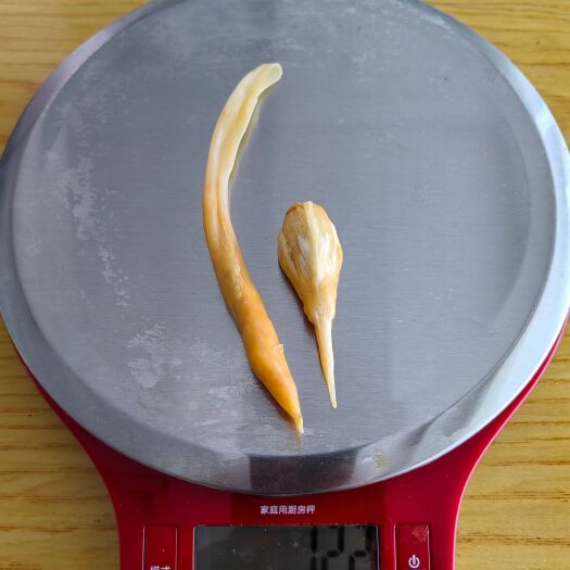 长沙鱼宝