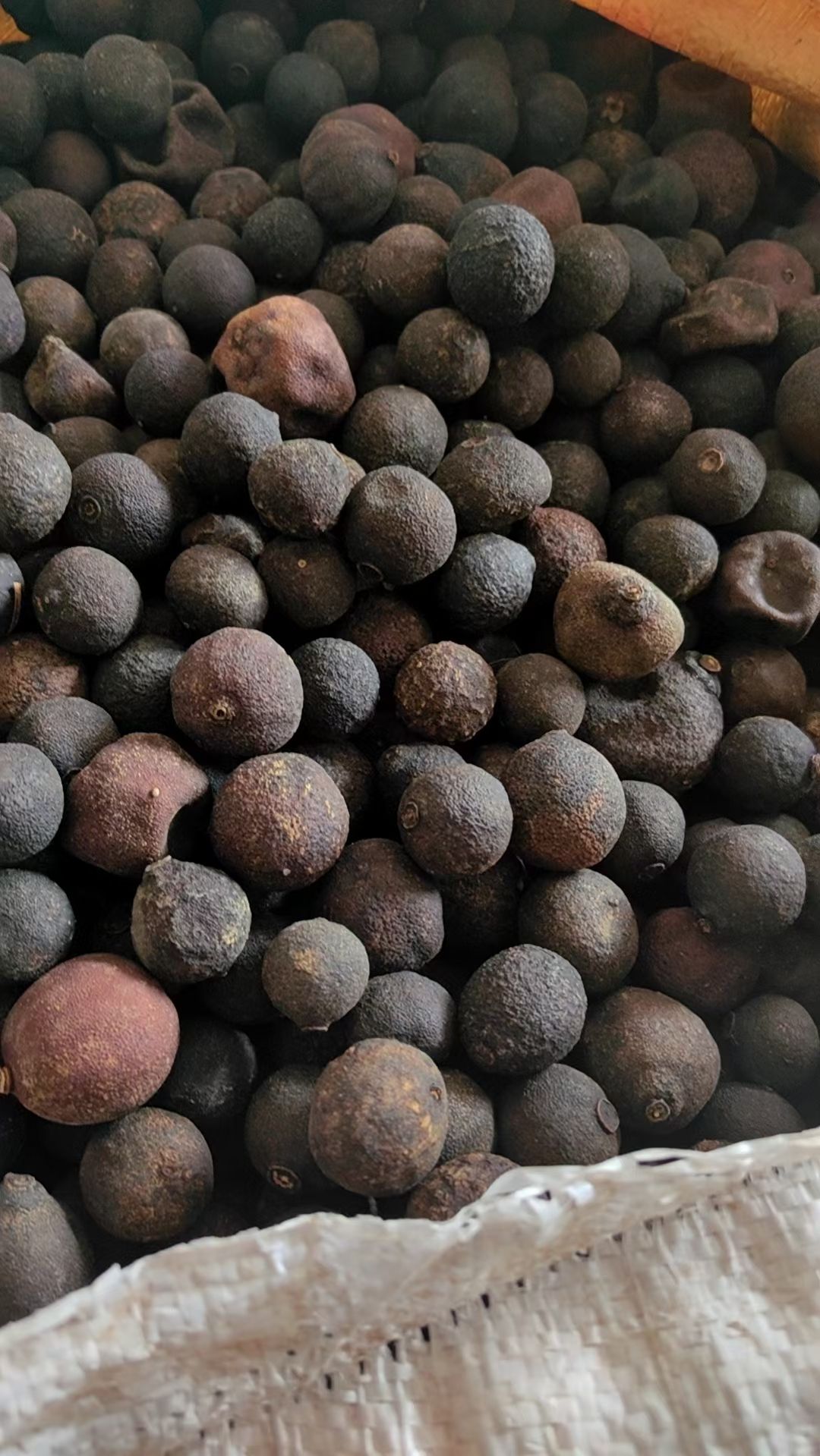 青果青皮果卤肉料