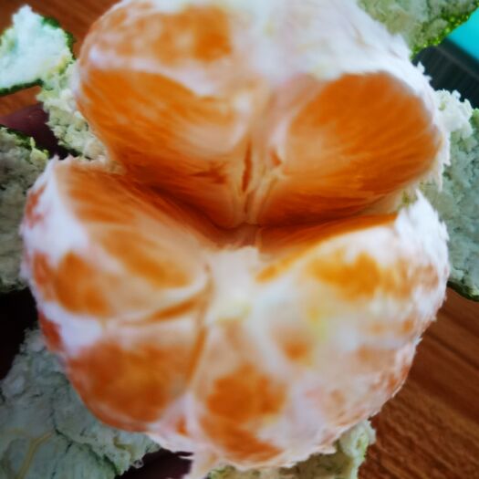 开封湖北橘子