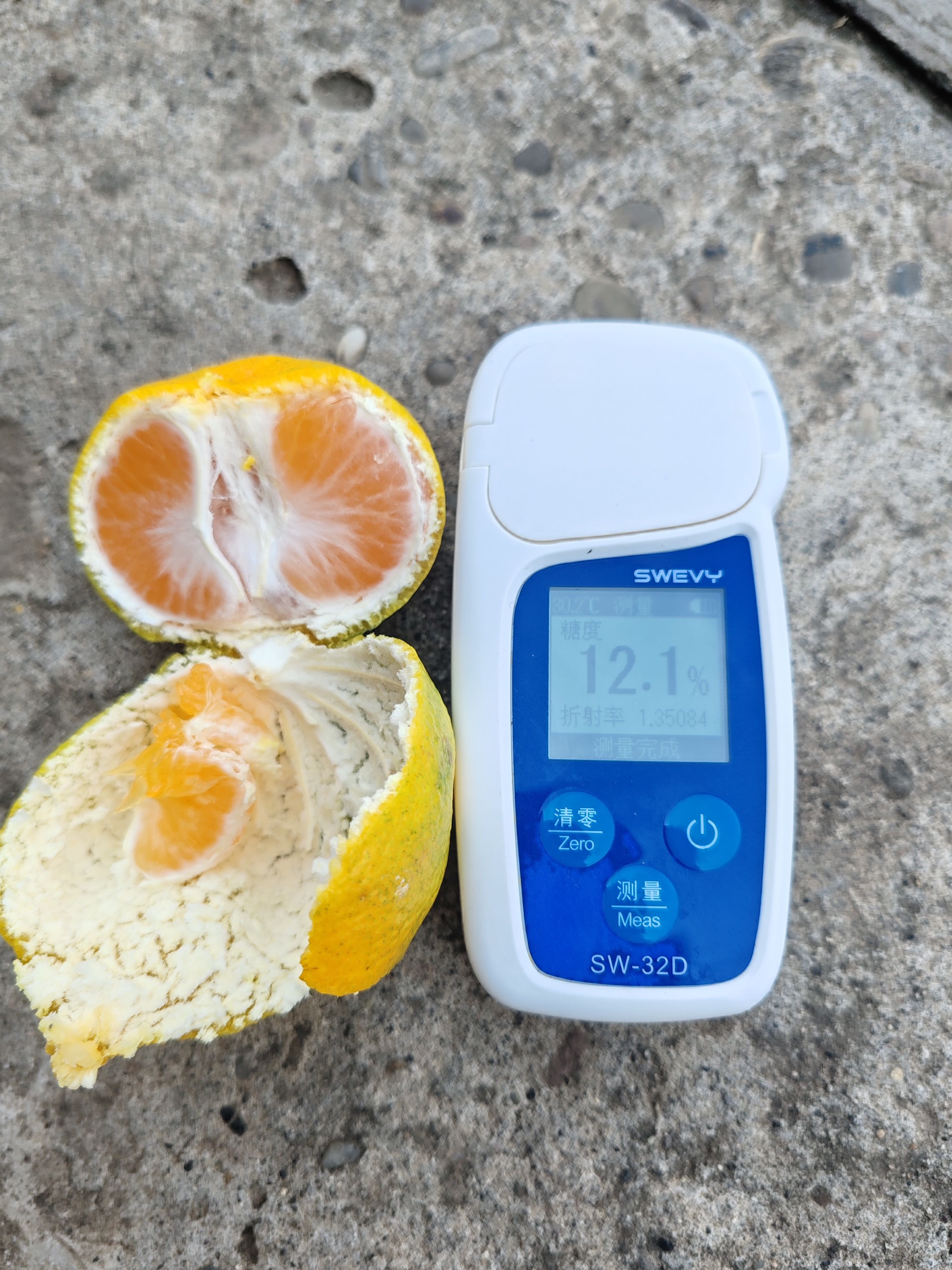 云南特早蜜桔大量上市，看园订货，果型扁平，果面干净，皮薄