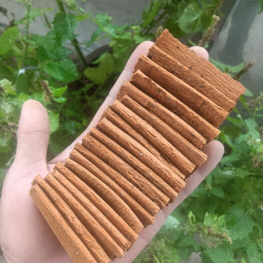 峨眉山市四川火锅及各种美食专用调味香料野生山桂皮，三十年以上树龄。