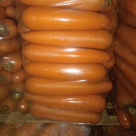 寿光市5-7两39斤包中条 大头 b品 箱货