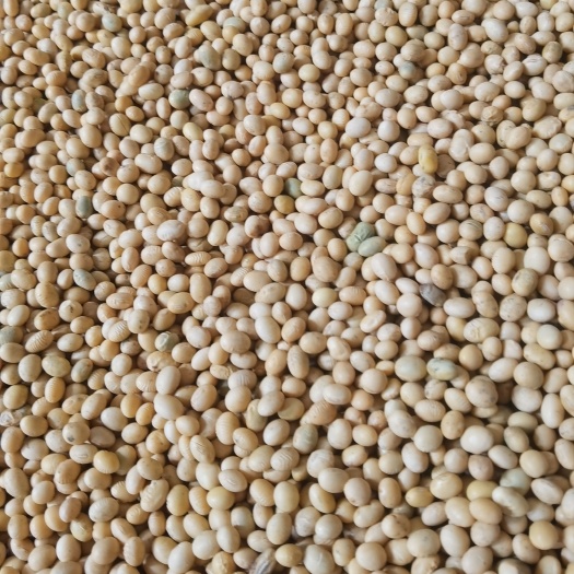 天门市湖北天门优质大豆蛋白高