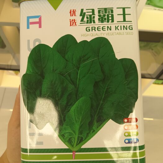 武汉绿霸王菠菜种子