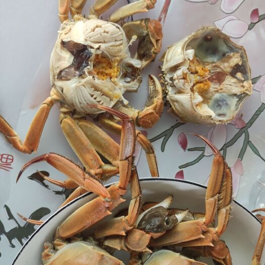 金湖县江苏大闸蟹