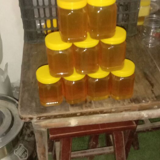 古蔺县野蜂蜜