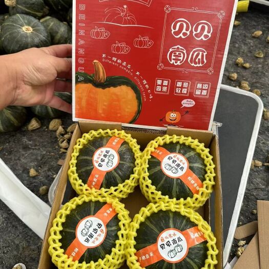 寿光市精品贝贝南瓜迷你礼盒上线