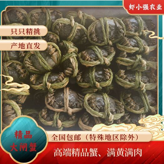 精挑大闸蟹 高端品质 专注港奥及出口订单