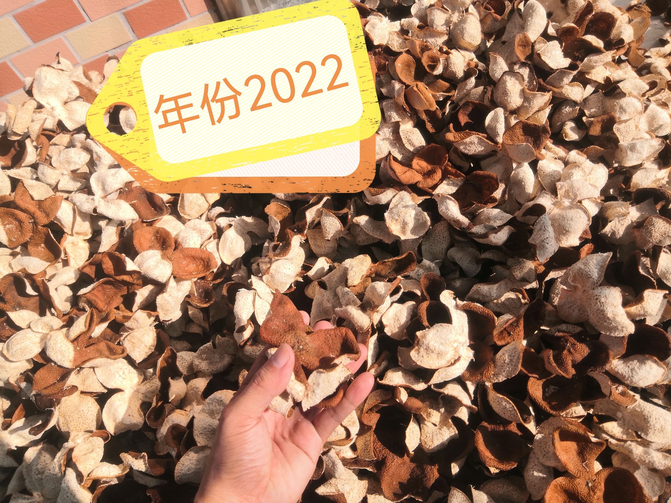 新会陈皮 柑下乘凉 用心去做！