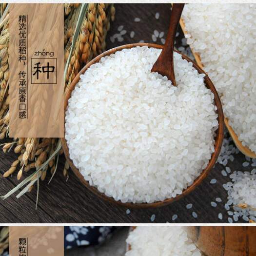 北京东北大米新米珍珠米