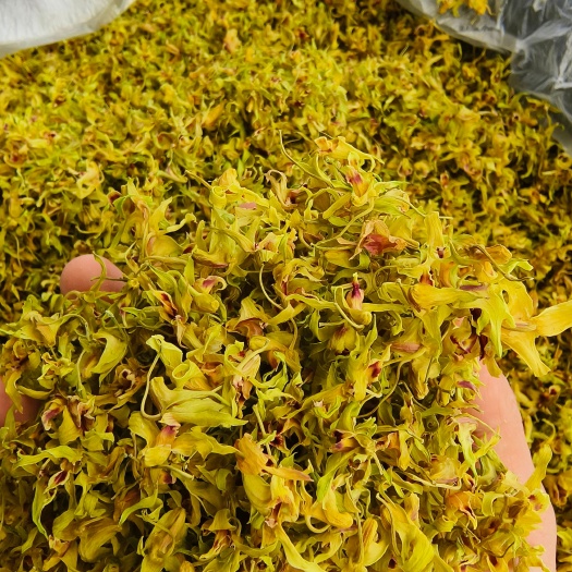 龍陵縣鐵皮石斛花