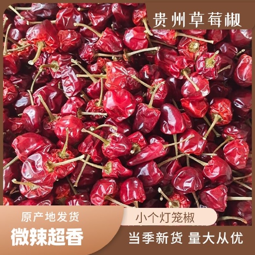 遵义贵州小个灯笼椒草莓椒微辣超香产地直发