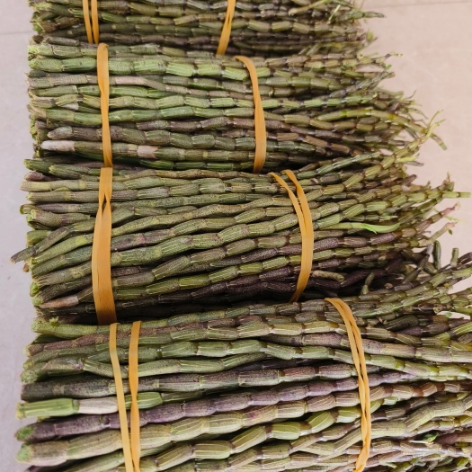 龙陵县铁皮石斛鲜条.基地批发.量大价优，欢迎来电详谈，各种规格