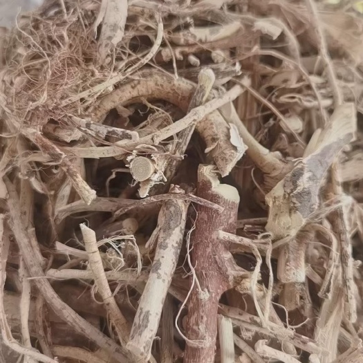 龙门县五指毛桃