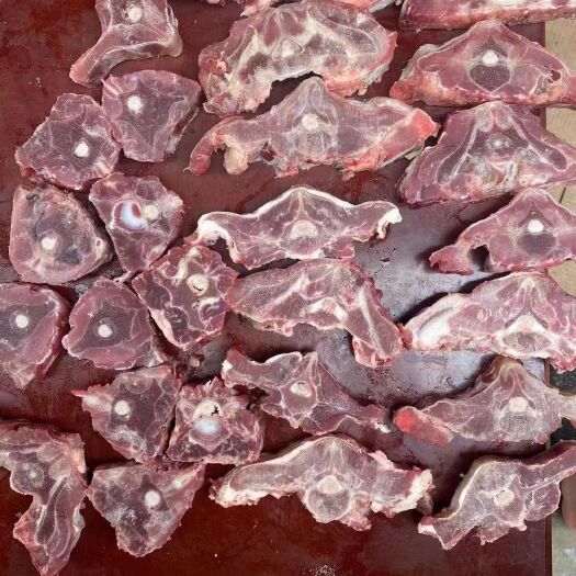 中牟县满肉羊蝎子
