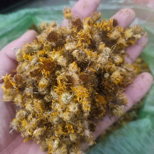 临沂旋覆花山东临沂产地直销，新货颜色好无杂质