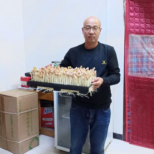 莘县花生芽又叫长寿芽，长期食用可以改善身体健康状况
