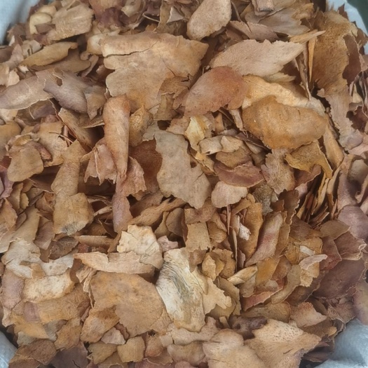 土茯苓  粉质  薄片  无硫统货