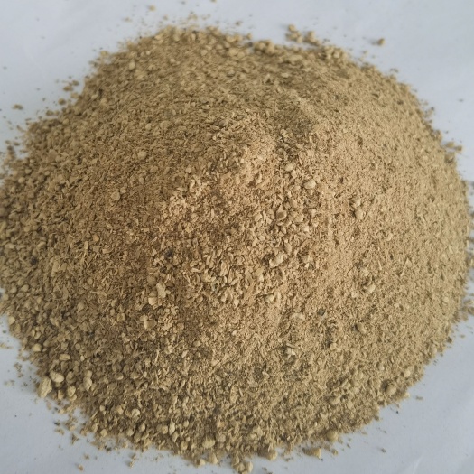 济南金针菇渣 适用于鸡鸭鹅猪牛羊 物美价廉