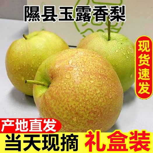 隰县香梨   玉露香梨  隰县玉露香梨   山西玉露香梨