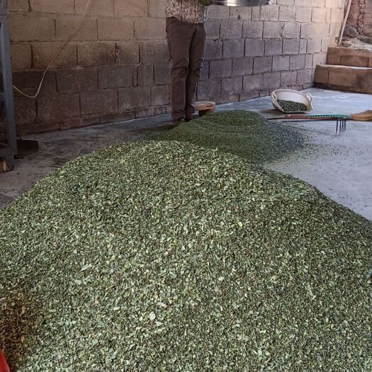 大姚县青花椒干品中货