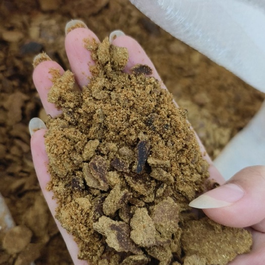 石家庄玉米胚芽饼