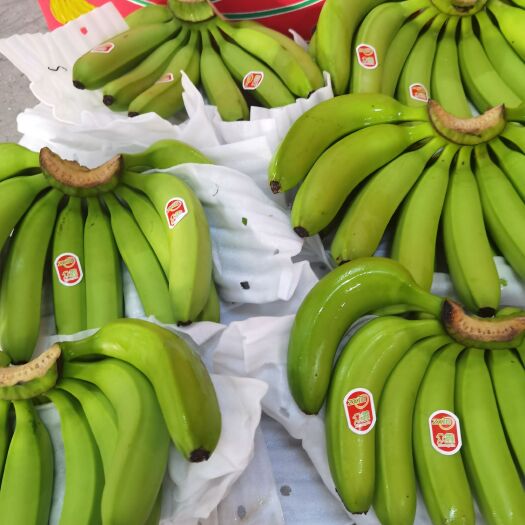 上海菲律宾香蕉，香甜软糯，无花皮，无硬心，无黑心，质量有保障