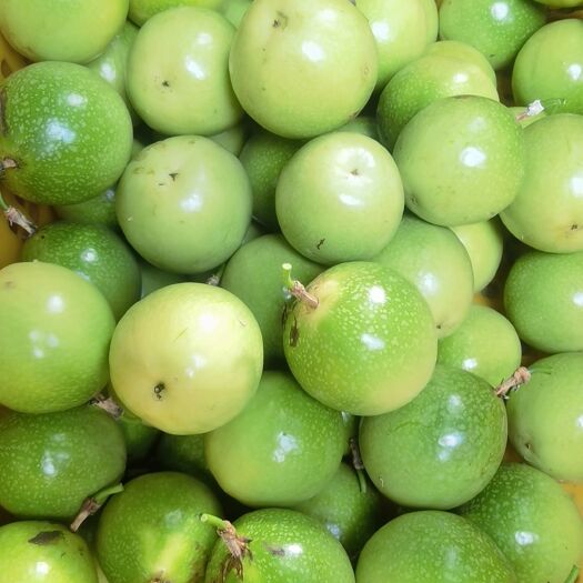 桂林黄金百香果  桂林黄金果