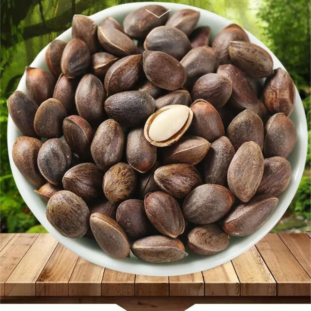 2023年贵州高山新鲜落水松子