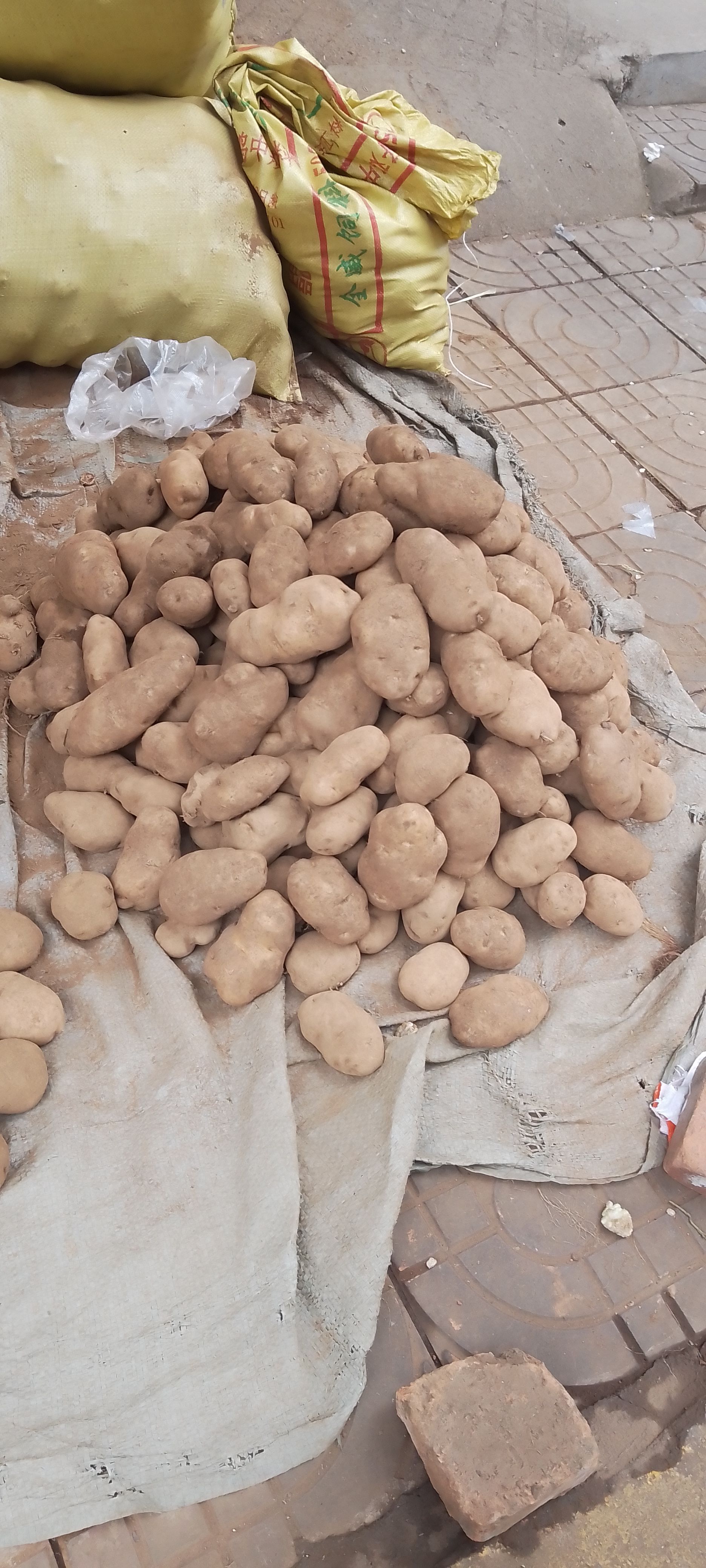 四川土豆，产地直销，全国直发，土豆粉特多，特好吃