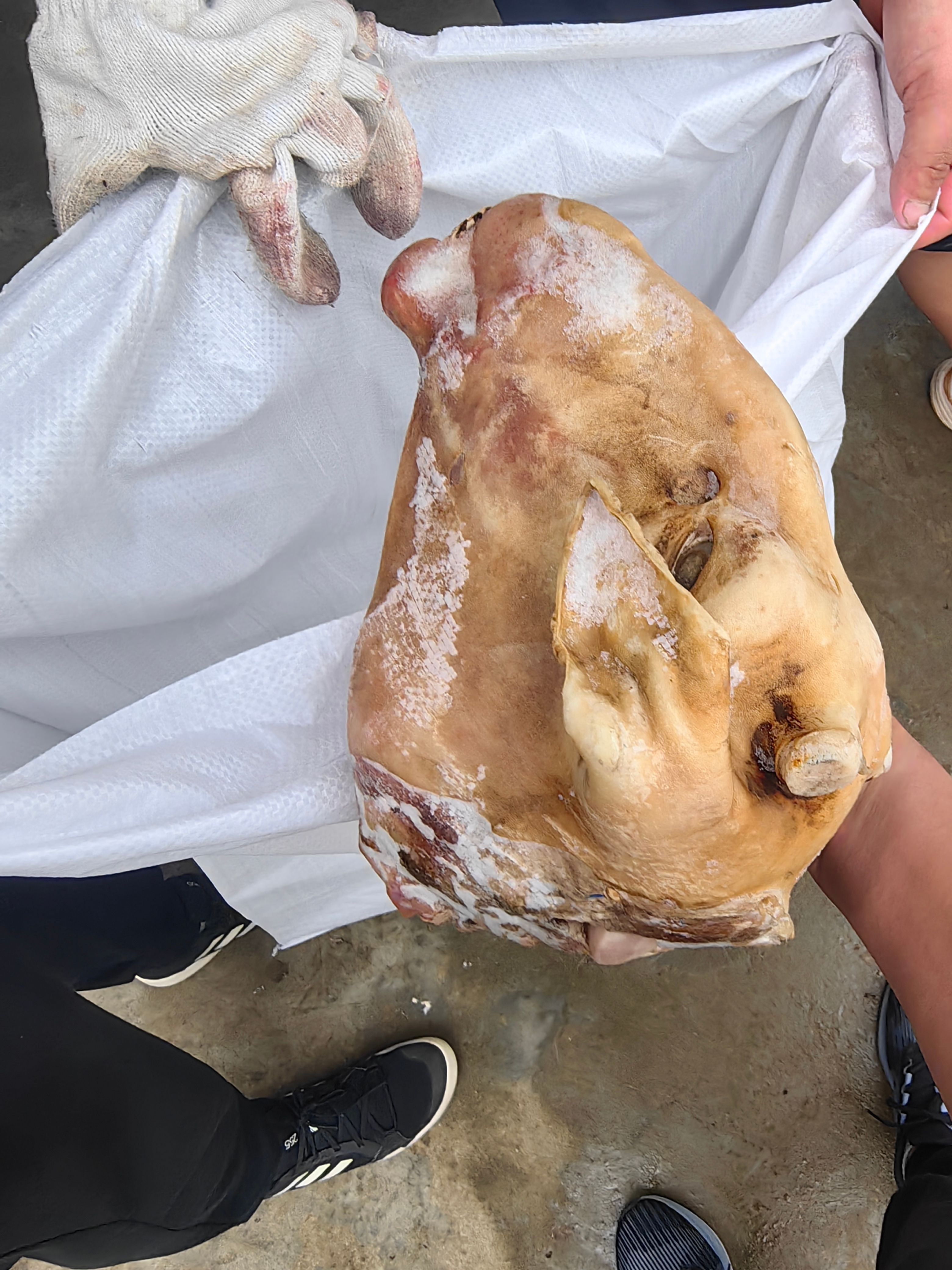 火烧带皮羊头，