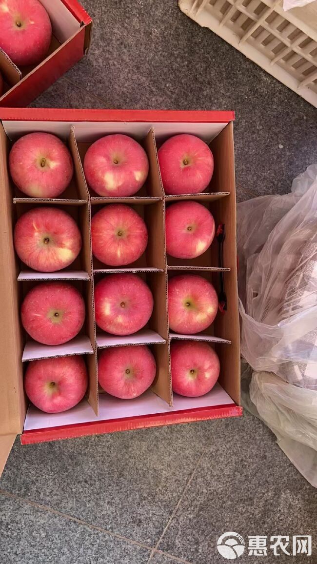 陕西省延安市洛川苹果，脆甜多汁，皮薄肉厚，核小无渣