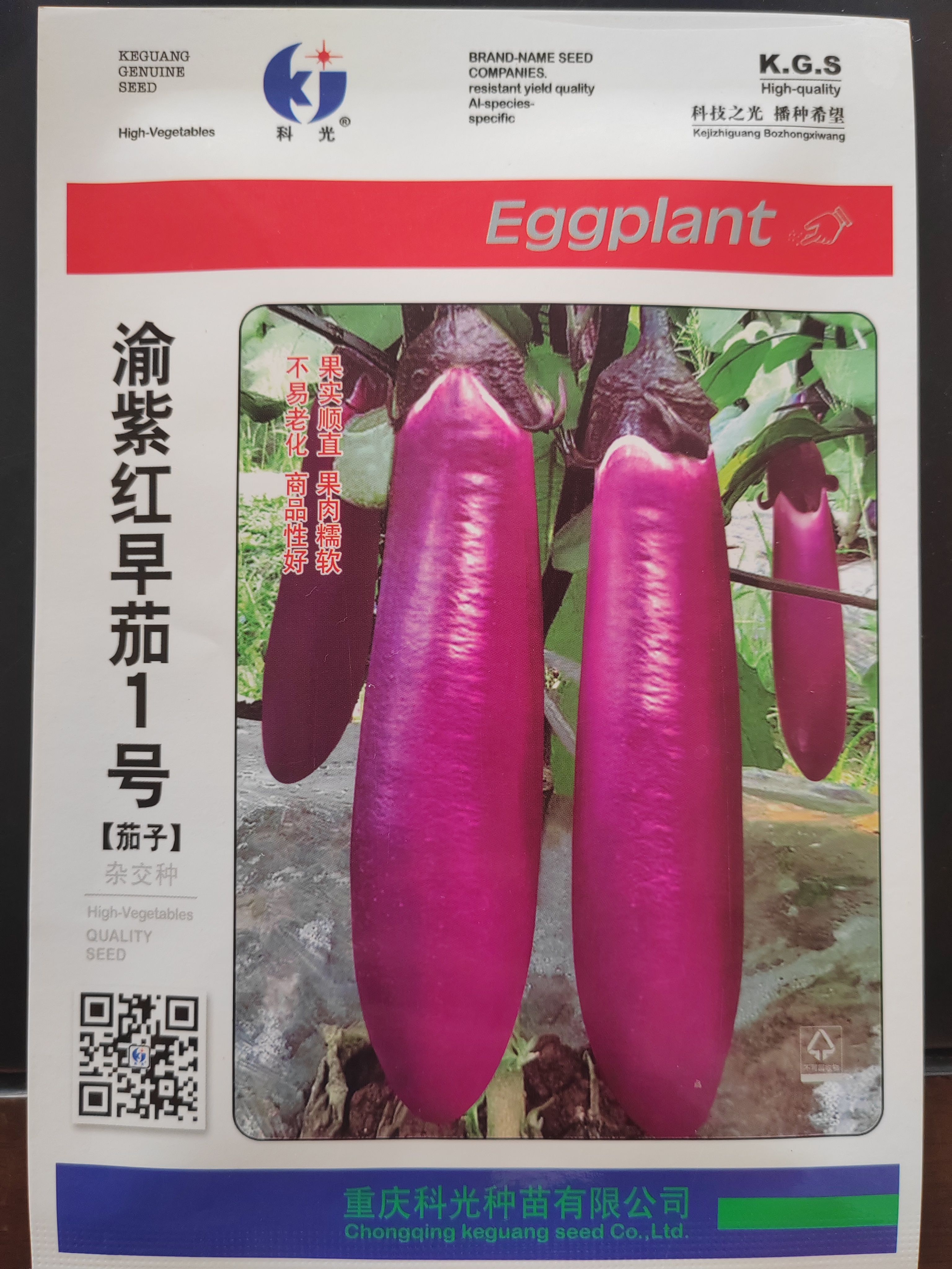 口感软糯杂交线茄种子长线茄子种子紫红杭茄种子抗病