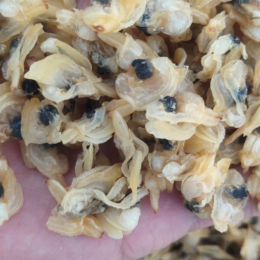无沙花甲干  原汁原味