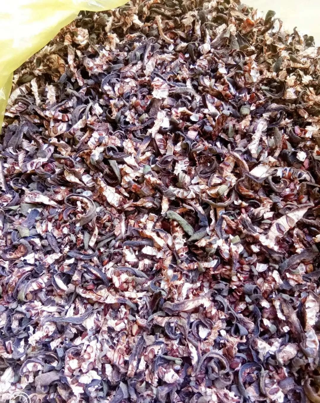 八月瓜茶 八月瓜果茶