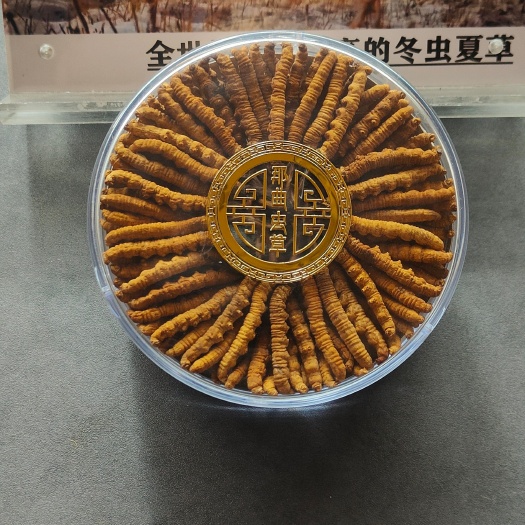 那曲那曲冬虫夏草，礼盒包装。精选草