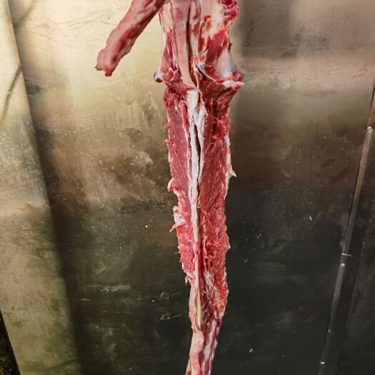 大厂县羔羊加肉蝎子 带翅不带板筋 国产羔羊 厂家直销