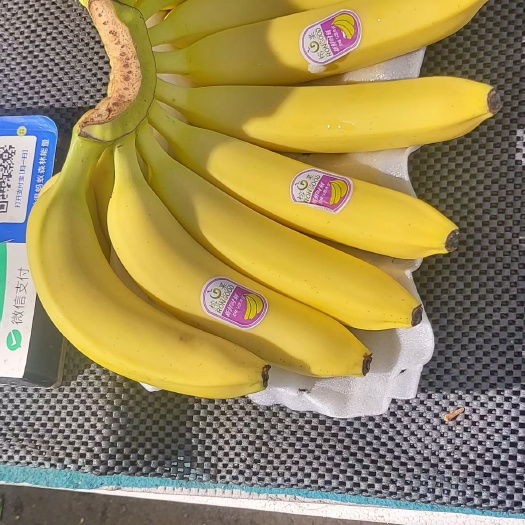 滕州市广西海南香蕉批发优惠多多，一级品种靓货，纯4片果面干净！