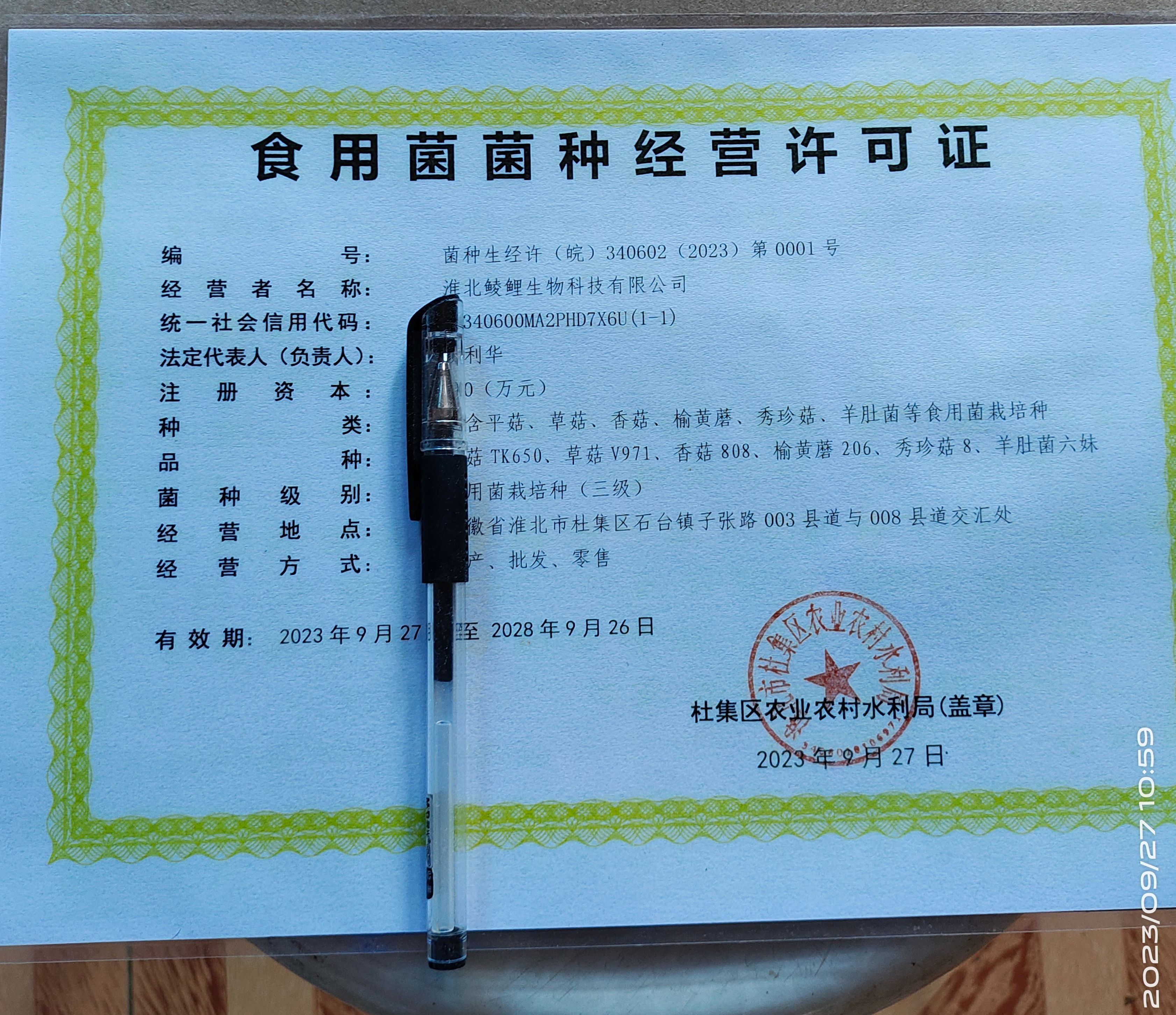 羊肚菌一亩地菌种400斤1800元免费提供技术服务回收产品