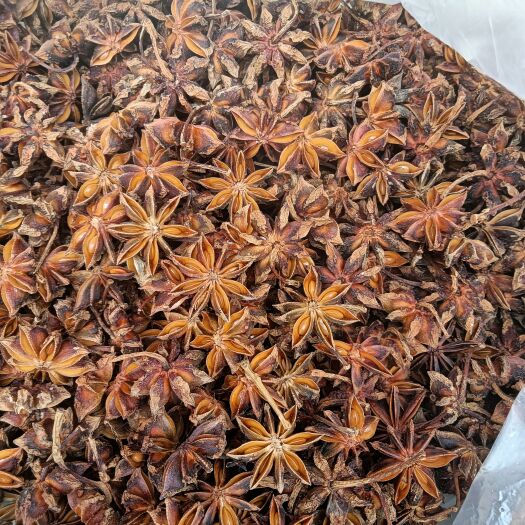 富宁县春花大红八角全干无硫磺。质量保证。